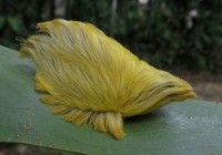 �ȴ�������������µ���Ȼ����