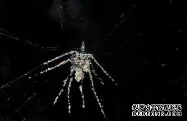 �ȴ�������������µ���Ȼ����