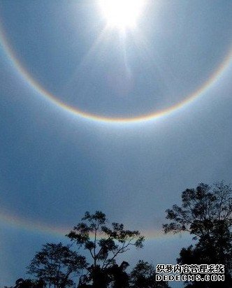 热带雨林区怪异奇奥的天然景观