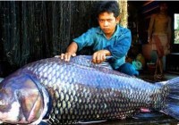 �����������ع��Ӿ�������