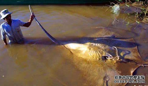 �����������ع��Ӿ�������