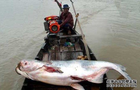 �����������ع��Ӿ�������