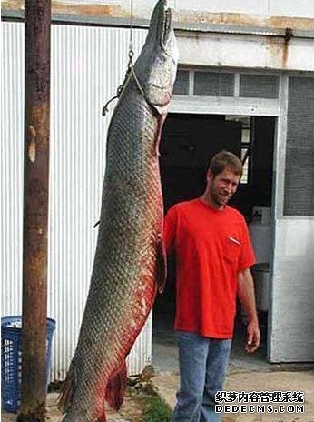 �����������ع��Ӿ�������