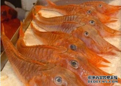 �¼��·��������ǹ��㡱������ع���