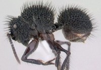 �����˹�ӵ�418�ֹ�������