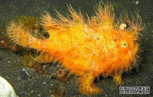 �����������������֡��Ի��L�㡱