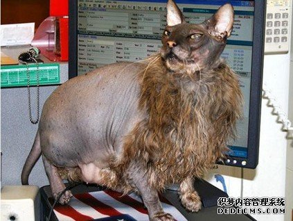 �����������������֡��Ի��L�㡱