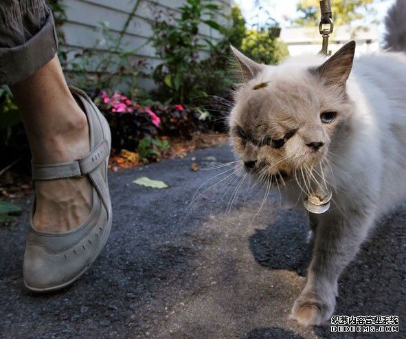 ������10�֡�������ޡ��¼���˹