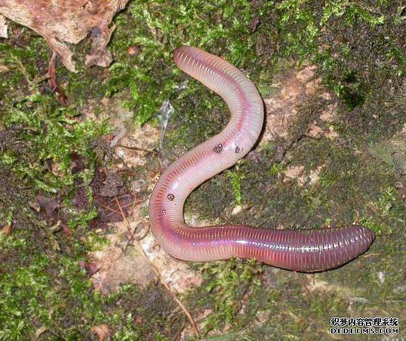 ������10�֡�������ޡ��¼���˹