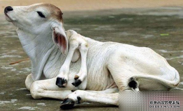 ������10�֡�������ޡ��¼���˹