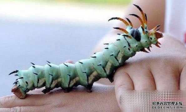 ������10�֡�������ޡ��¼���˹