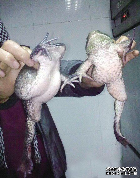 ������10�֡�������ޡ��¼���˹