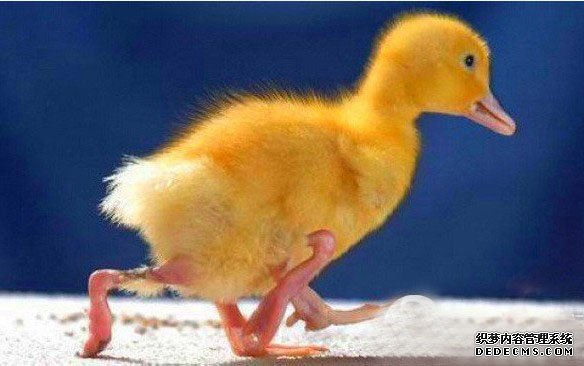 ������10�֡�������ޡ��¼���˹