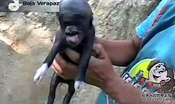 Σ������ס���������� �ٷ���ϵ�������