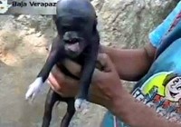 Σ������ס���������� �ٷ���ϵ�������