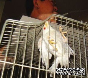 ������� �׻���С��ȸ�������