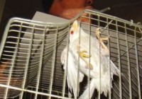 ������� �׻���С��ȸ�������