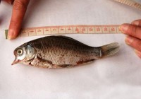 ���Ϻױڷ��������������� ��ͼ��������