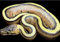 �̻�����������13�ֳ���