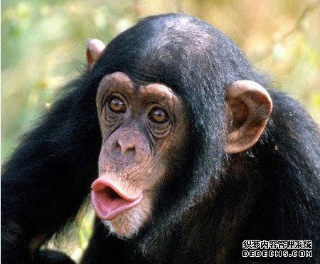 �̻�����������13�ֳ���