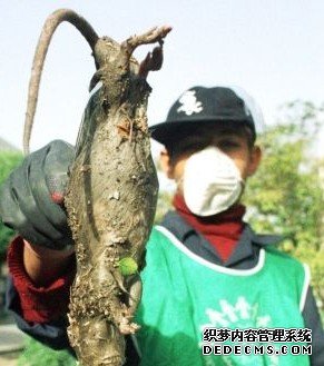 �����־��󡱿��¾������α�è����