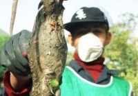 �����־��󡱿��¾������α�è����