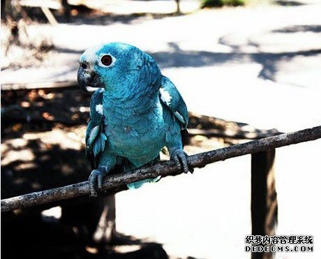 �̻�����������13�ֳ���