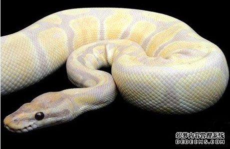 �̻�����������13�ֳ���