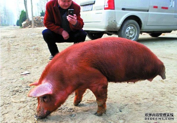 ���� ���ᶨ����������ǰ��֧��ǰ��