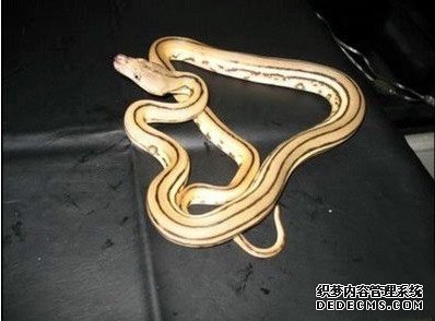 �̻�����������13�ֳ���