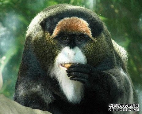 �̻�����������13�ֳ���