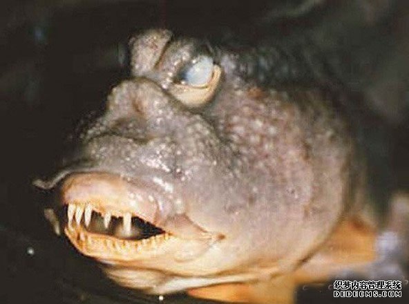 ˮ�й��� �����Ͼ�Ȼ����ô��Ĺ���