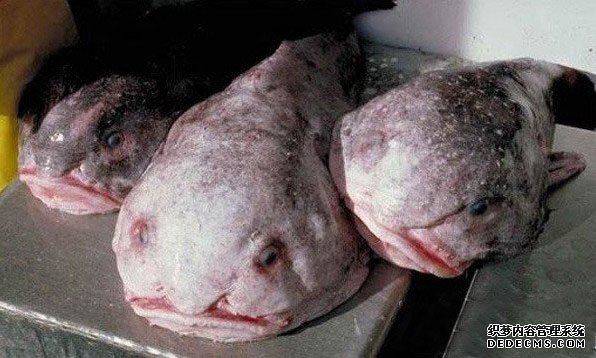 ˮ�й��� �����Ͼ�Ȼ����ô��Ĺ���