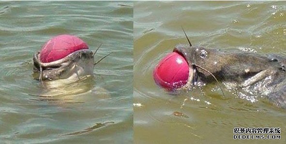 ˮ�й��� �����Ͼ�Ȼ����ô��Ĺ���