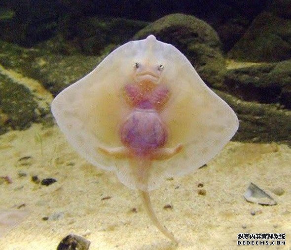 ˮ�й��� �����Ͼ�Ȼ����ô��Ĺ���