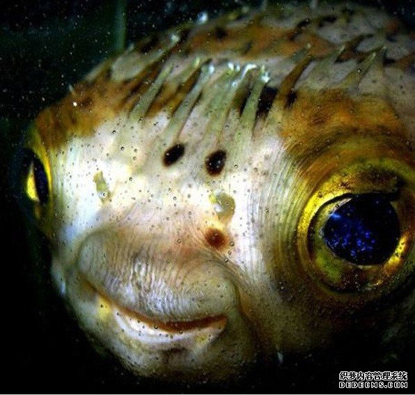 ˮ�й��� �����Ͼ�Ȼ����ô��Ĺ���