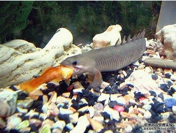 ˮ�й��� �����Ͼ�Ȼ����ô��Ĺ���