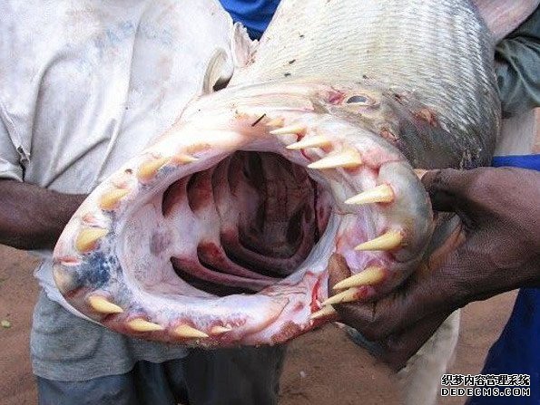 ˮ�й��� �����Ͼ�Ȼ����ô��Ĺ���