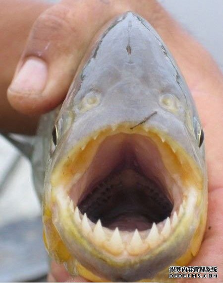 ˮ�й��� �����Ͼ�Ȼ����ô��Ĺ���