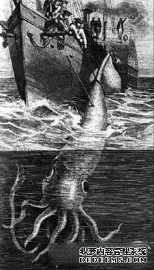 Ų��������ɺ��Ĺ������