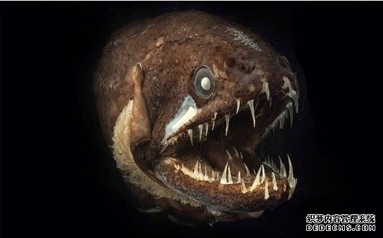 Ų��������ɺ��Ĺ������