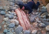 �й���ʯ������ʯ�ô�һ���廨��