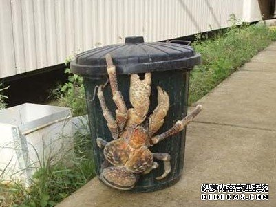 ���ﴫ�� ����������صļ��ֶ���