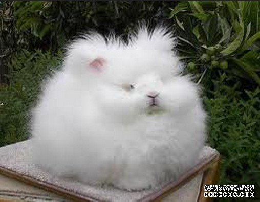 ���ﴫ�� ����������صļ��ֶ���