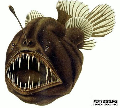 ���ﴫ�� ����������صļ��ֶ���