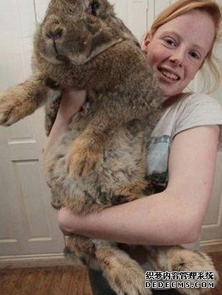 ���������ֵ����� �߳��˶�ͯ����