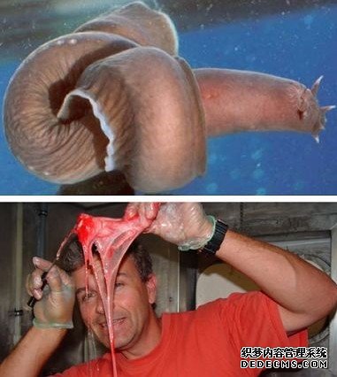 ���ﴫ�� ����������صļ��ֶ���