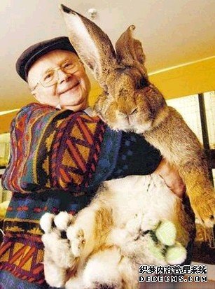 ���������ֵ����� �߳��˶�ͯ����