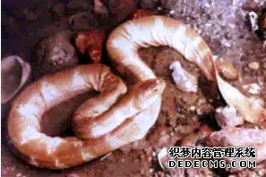 �̻���Ȼ���ö����ּ������۾�����