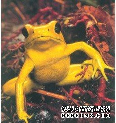 �̻���Ȼ���ö����ּ������۾�����